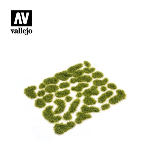 SC404 Wild Moss - Imagen 2